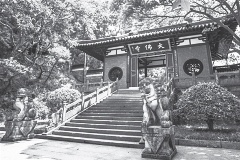 妙光法師分享《佛光大辭典》的發展歷程，從傳統紙本辭典，演化成攜帶方便的光碟、隨身碟，現今更透過開發手機的 APP，讓使用者隨時隨地查詢詞彙。